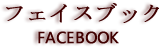 facebookへのページ